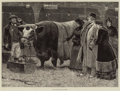 The Pleasure of Success by John Charles Dollman